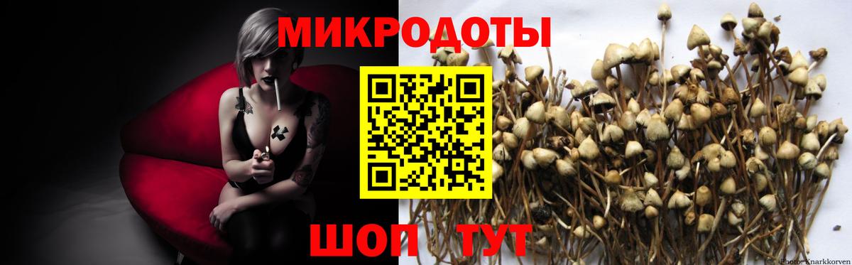 Галлюциногенные грибы GOLDEN TEACHER Березники